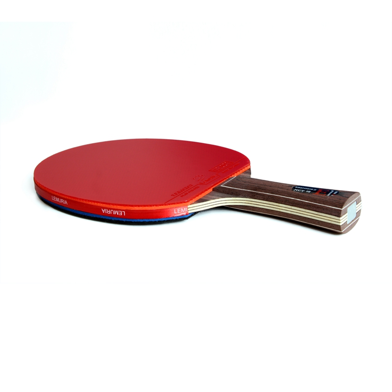 Lemuria EBENHOLZ-Raket Tenis M - Table Tennis Review ulasan dan harga