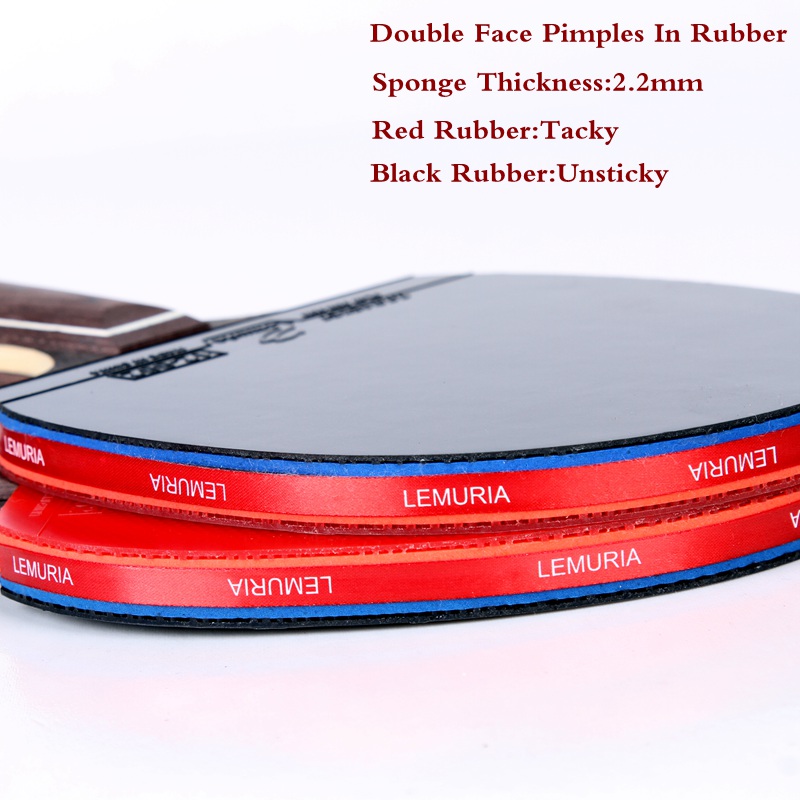Lemuria EBENHOLZ-Raket Tenis M - Table Tennis Review ulasan dan harga